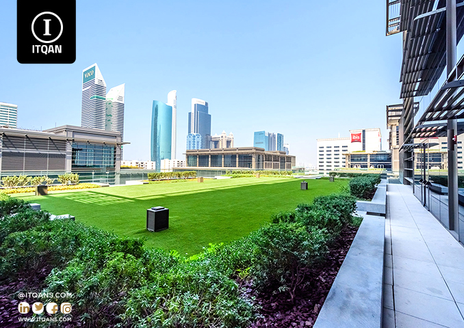 Establishing companies in free zones in Dubai